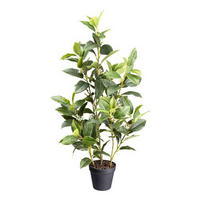KUNSTPFLANZE Duftblüten 65 cm  - Schwarz/Braun, Design, Kunststoff (65cm) - P & B