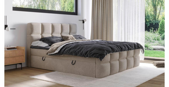 BOXBETT 140/200 cm in Taupe - Taupe/Schwarz, Design, Holzwerkstoff/Kunststoff (140/200cm) - Xora