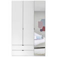 DREHTÜRENSCHRANK 135,4/225,5/57 cm 3-türig Weiß  - Schwarz/Weiß, MODERN, Glas/Holzwerkstoff (135,4/225,5/57cm) - Xora