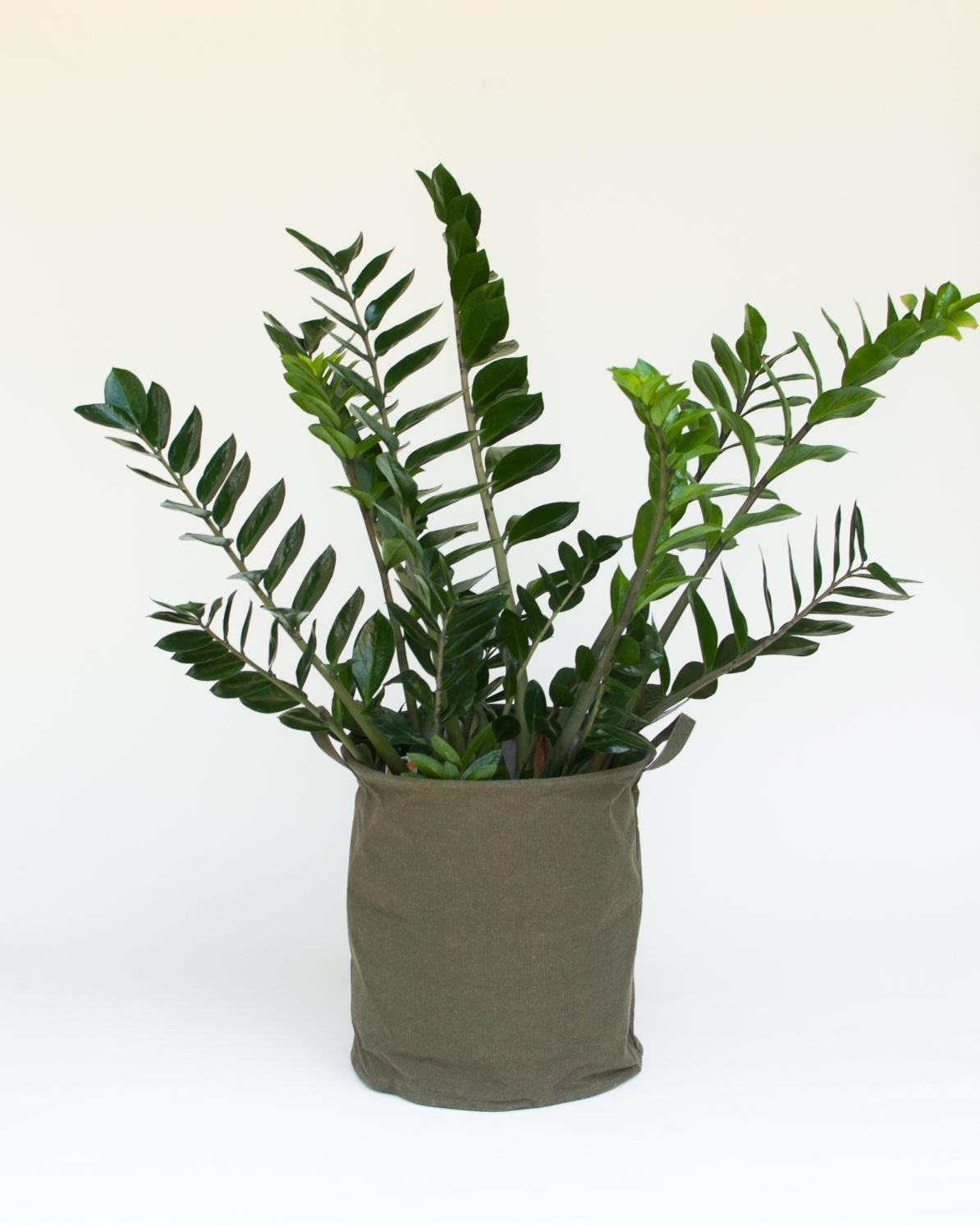 KOŠARA DEKORATIVNA      30/30/30 cm   - maslinasto zelena, Basics, tekstil (30/30/30cm)