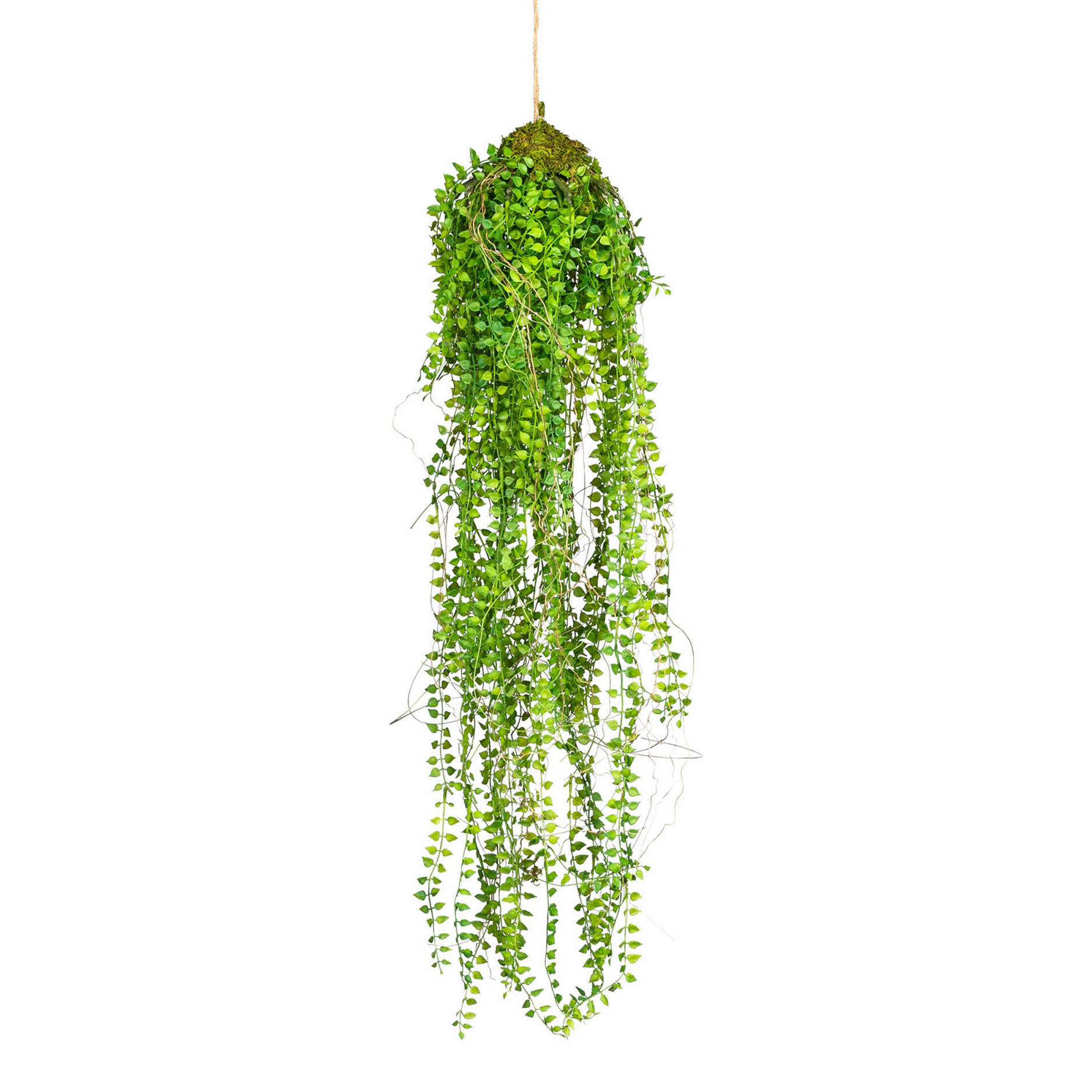 KUNSTPFLANZE 70 cm  - Grün, Basics, Kunststoff (70cm) - P & B