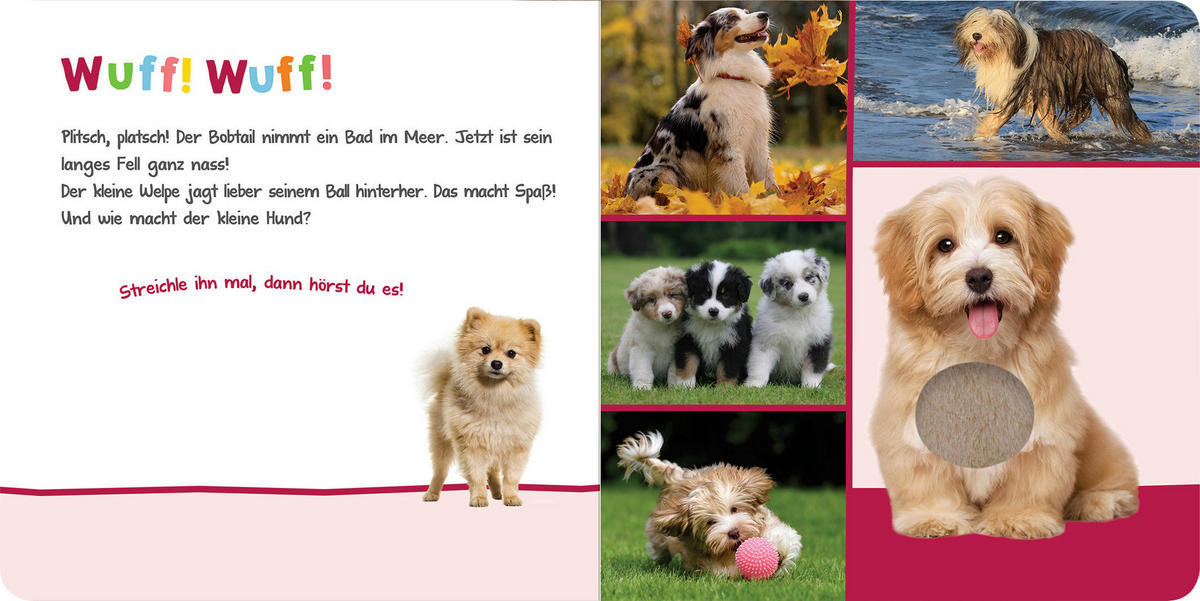 SOUNDBUCH - Multicolor, Basics (19,6/1,8/19,8cm) - Carlsen