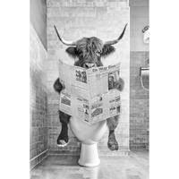 POSTER 61/91,5 cm  - Multicolor, LIFESTYLE, Papier (61/91,5cm) - Reinders!