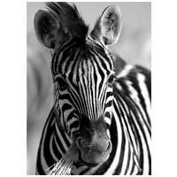 KUNSTDRUCK 50/70 cm  - Multicolor, LIFESTYLE, Holzwerkstoff/Textil (50/70cm) - Monee