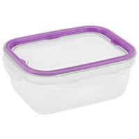 DÓZA NA SKLADOVANIE POTRAVÍN plast  plast 0,45  l - lila/priehľadné, Konventionell, plast (14cm) - Boxxx