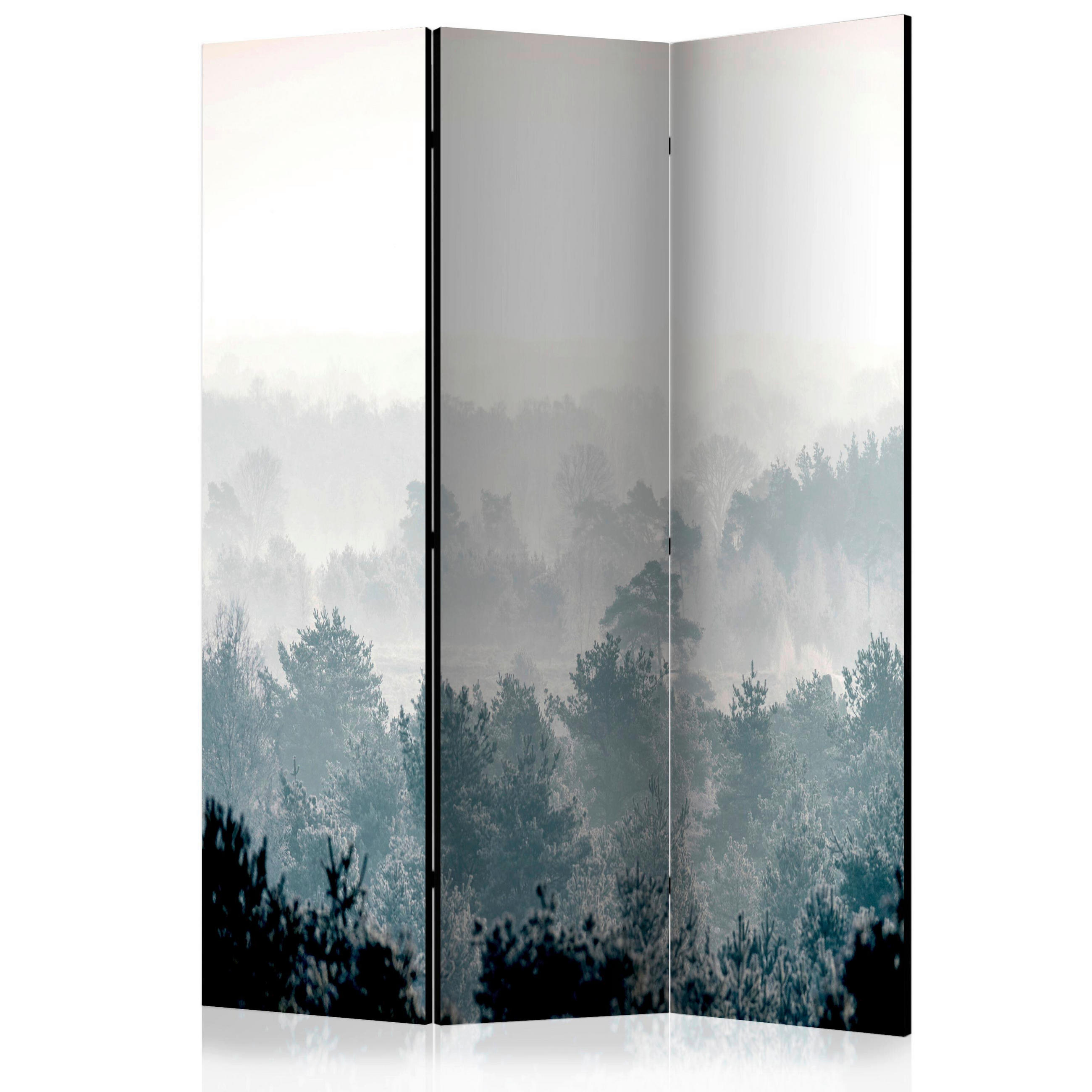 artgeist PARAVÁN, 135/172/3 cm