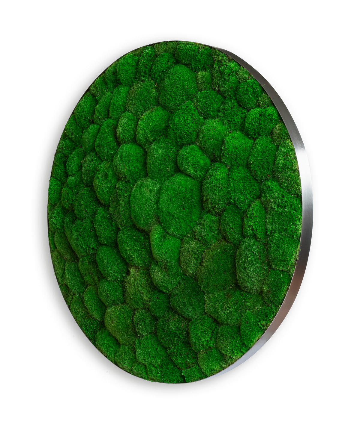 MOOSBILD Stylegreen  - Grün, Basics, Naturmaterialien/Metall (80/15cm)