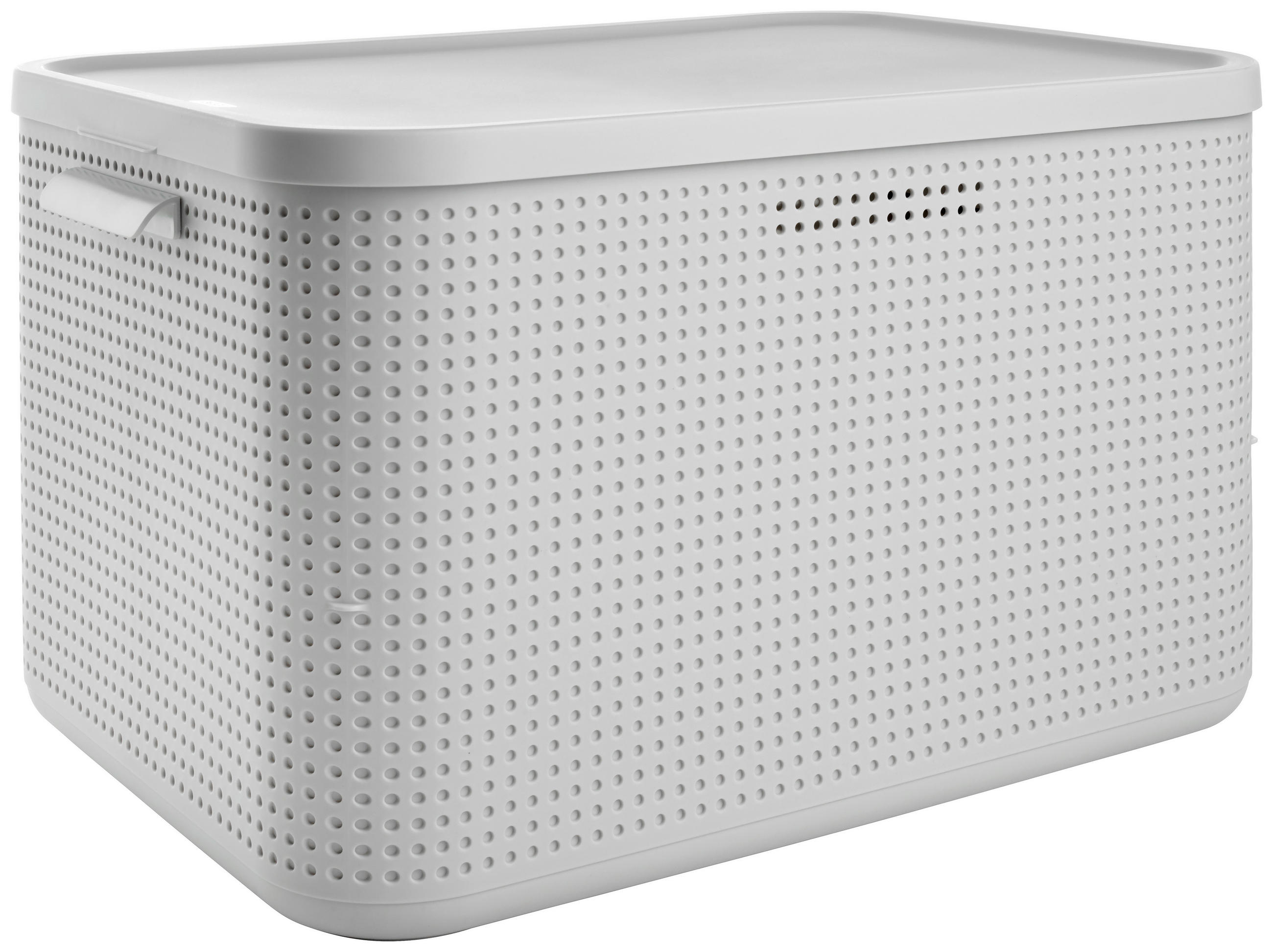 BOX MIT DECKEL  - Weiss, Basics, Kunststoff (35,6/28,2/50cm) - Rotho