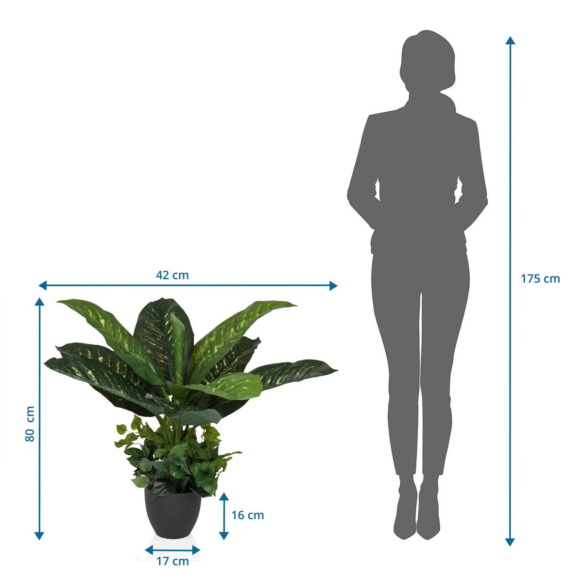 UMĚLÁ ROSTLINA mramornatka  - černá/zelená, Moderní, plast (42/80/33cm) - MID.YOU