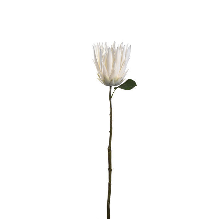 DEKOBLUME - Weiß/Grün, Basics, Kunststoff/Metall (10,00/72,00/10,00cm)