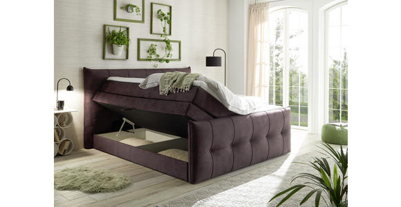 BOXSPRINGBETT 180/200 cm  in Aubergine  - Aubergine/Schwarz, KONVENTIONELL, Kunststoff/Textil (180/200cm) - Esposa