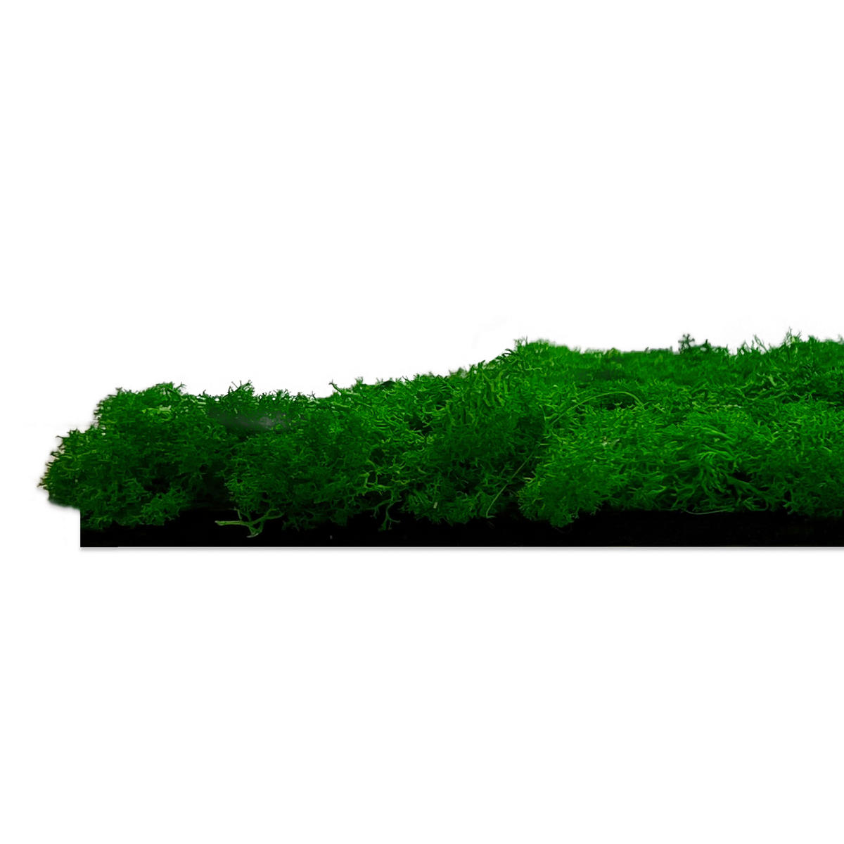 AKUSTIKPANEEL Modular Wall System Moos 52/52/4 cm  - Grün, KONVENTIONELL, Naturmaterialien (52/52/4cm) - Jangal