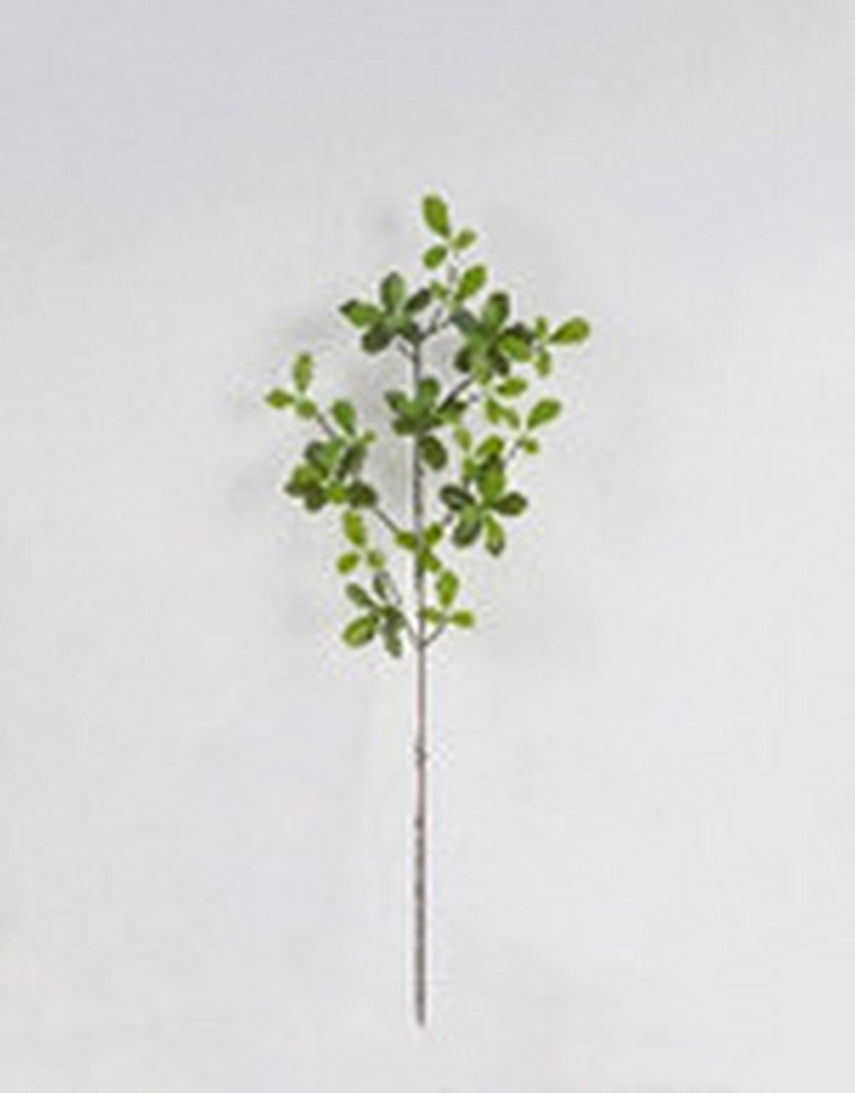 MŰNÖVÉNY - zöld, Basics, műanyag