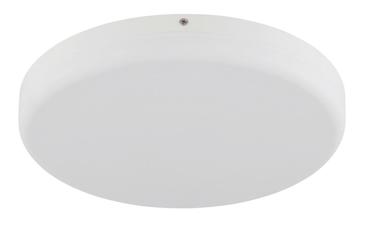 STROPNA LED-SVETILKA  MATTHEW //4000 K/230 V/ - bela, Konvencionalno, umetna masa (30/5cm) - Globo