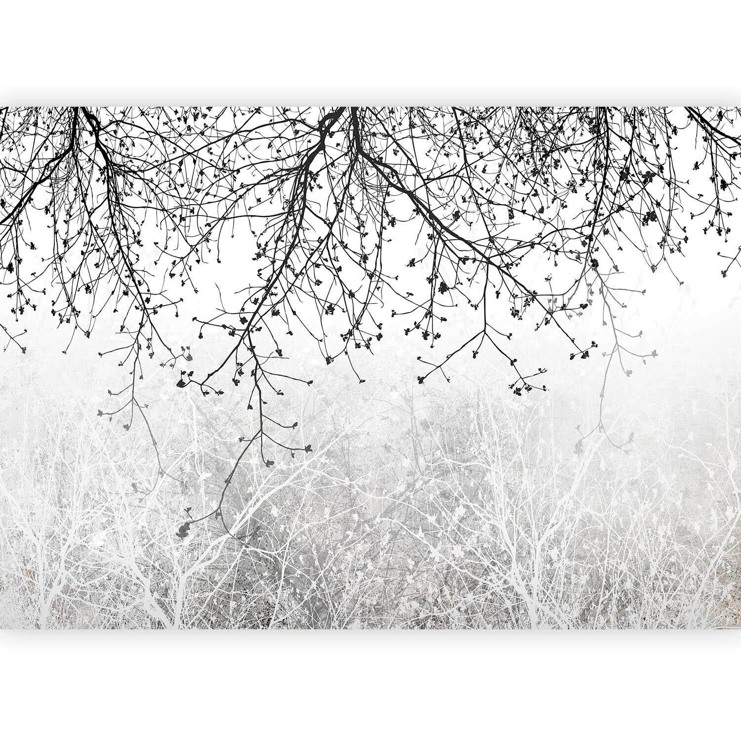 FOTOTAPETE  - Schwarz/Grau, LIFESTYLE, Textil (400/280cm) - artgeist