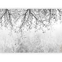 FOTOTAPETE  - Schwarz/Grau, LIFESTYLE, Textil (400/280cm) - artgeist