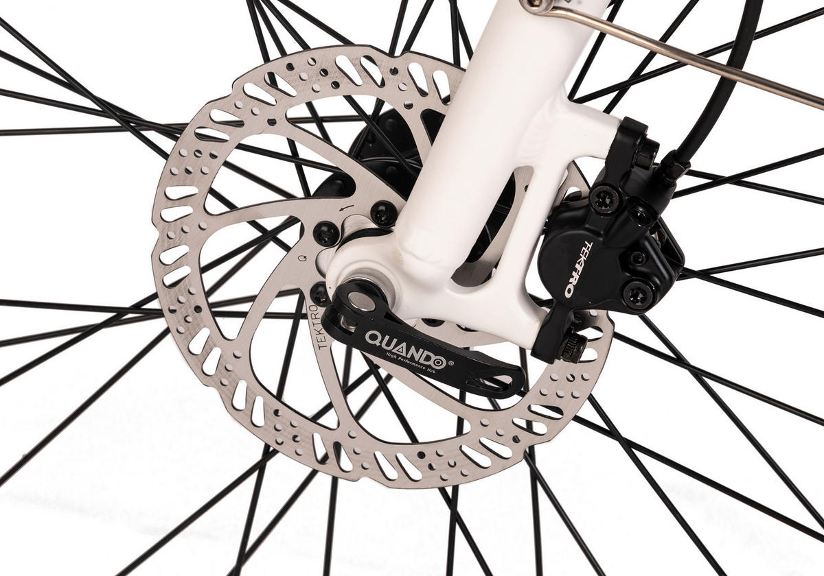 ELEKTROFAHRRAD 28 Zoll  - Weiß, Basics, Metall (180/70/100cm)