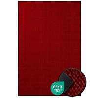 SCHMUTZFANGMATTE  60/90 cm  Rot  - Rot, Basics, Kunststoff/Textil (60/90cm) - Floordirekt