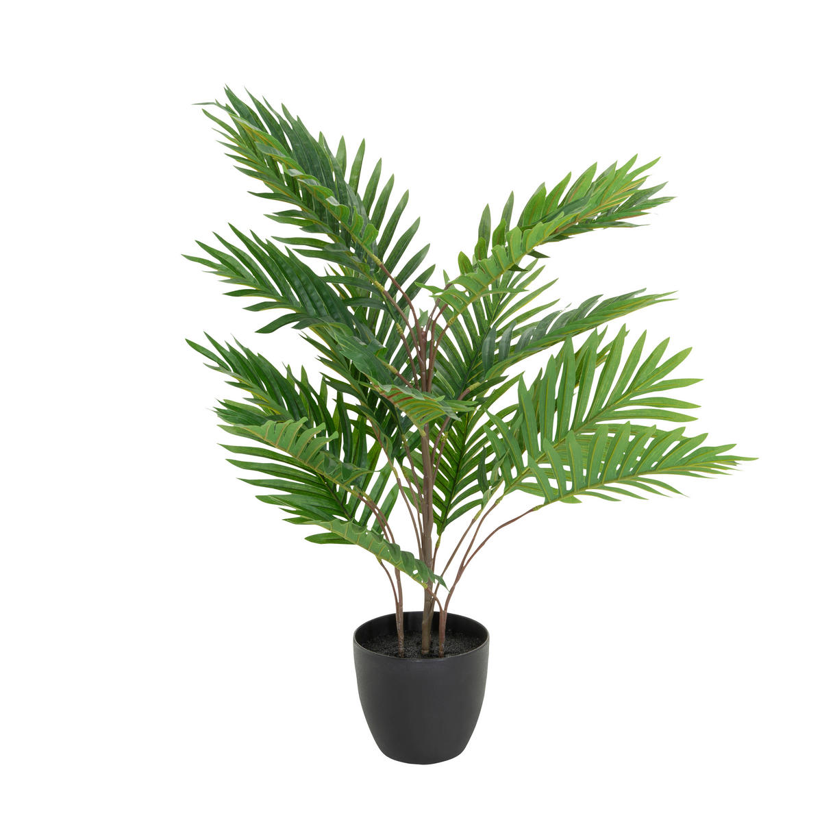 KUNSTPFLANZE Palme  - Schwarz/Braun, Basics, Kunststoff/Textil (60/70/60cm) - MID.YOU