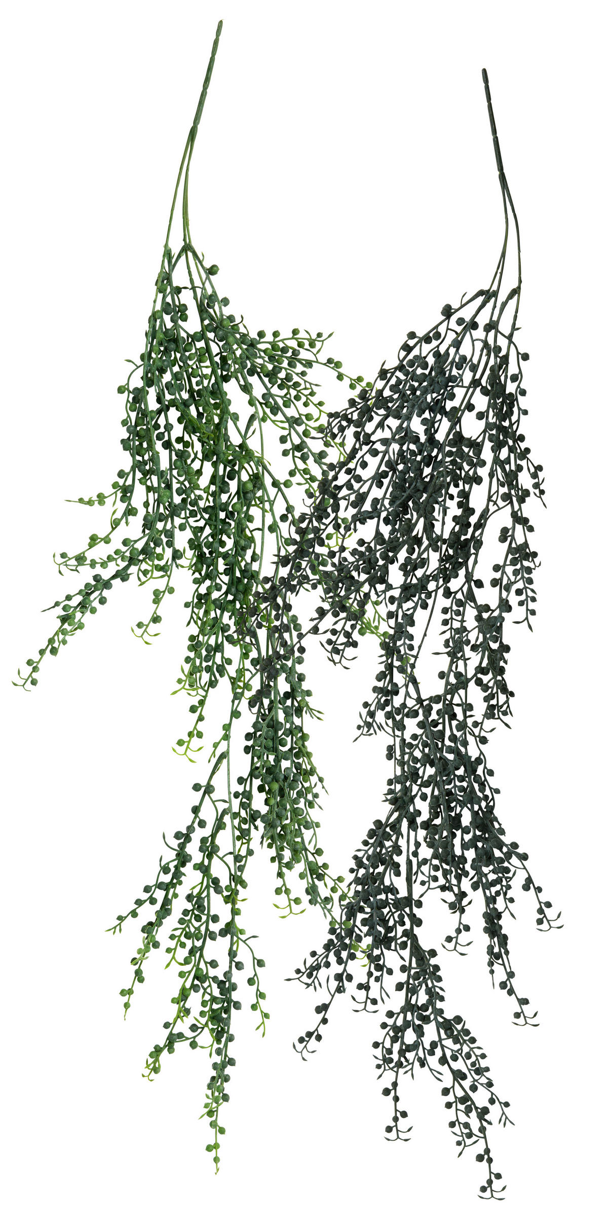 KUNSTPFLANZE Sukkulente 88 cm  - Grün, Basics, Kunststoff (88cm)