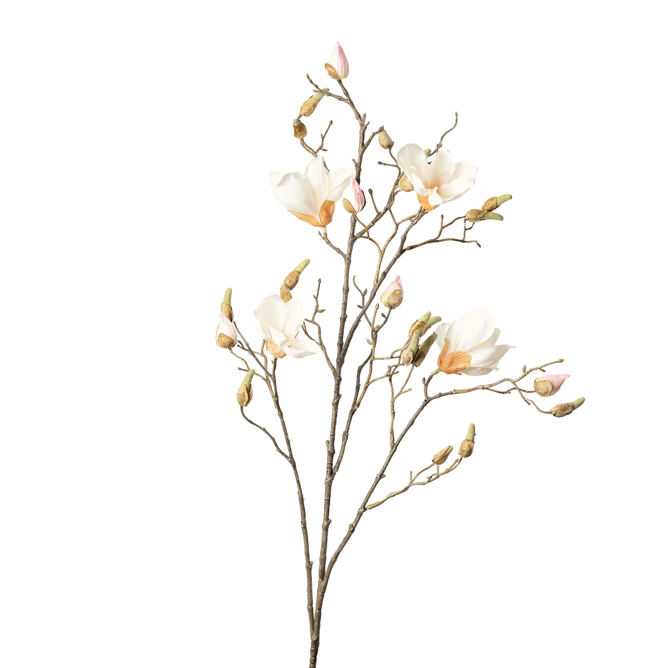 XXXL MAGNOLIE 110 cm