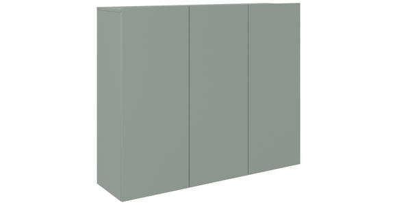 HÄNGESCHUHSCHRANK 120/100/34 cm - Grün, Design, Holzwerkstoff (120/100/34cm) - Hom`in