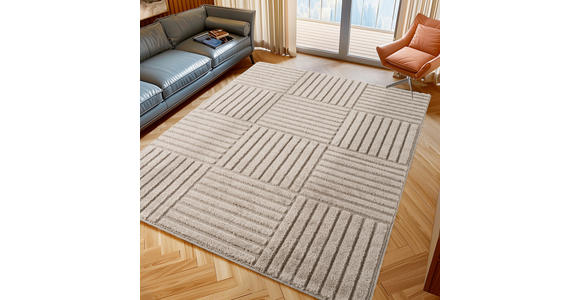 FLACHWEBETEPPICH 160/230 cm ART Beige  - Beige, Basics, Kunststoff/Textil (160/230cm) - Novel