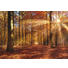FOTOTAPETE - Basics, Papier (368/254cm) FOTOTAPETE - Basics, Papier (368/254cm)