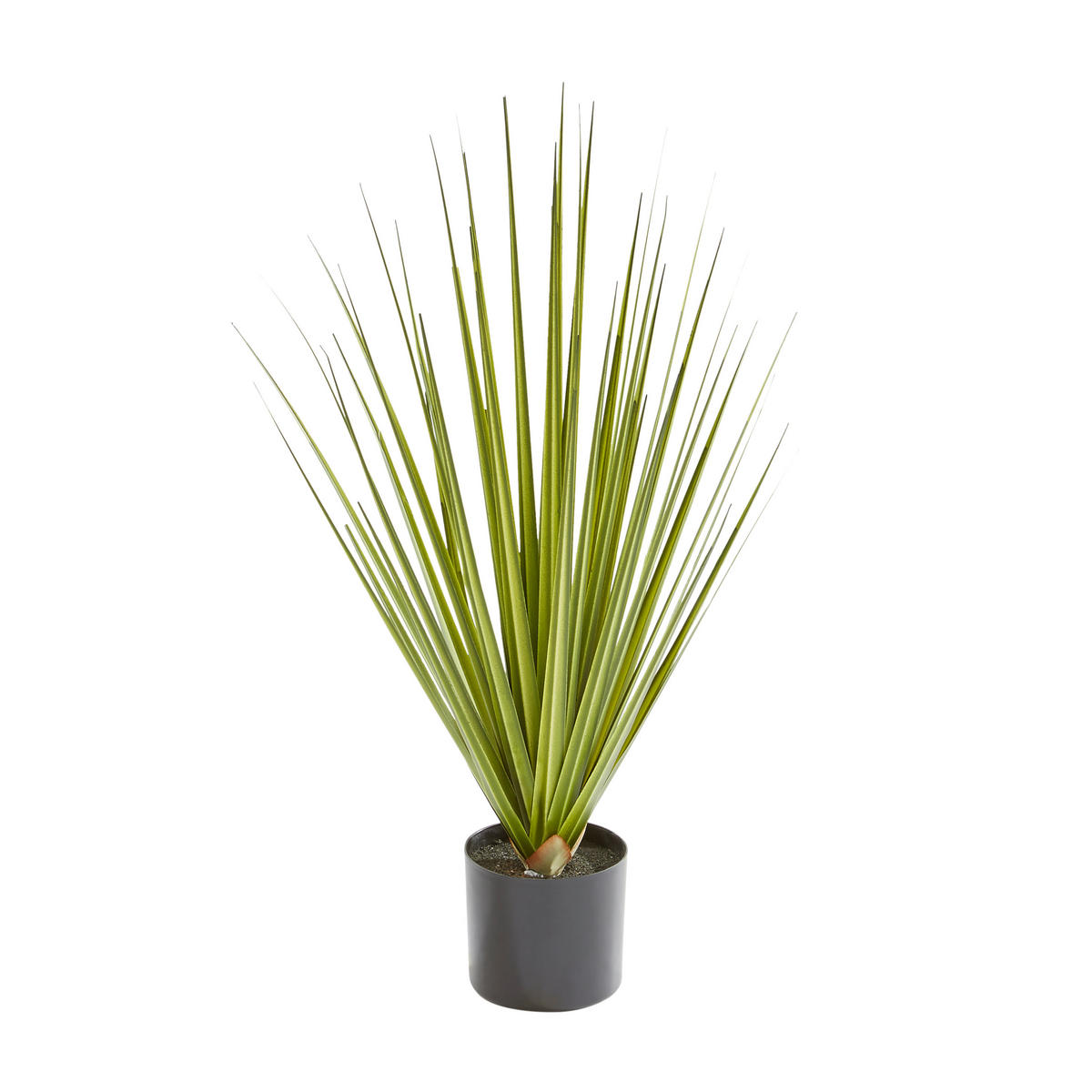 KUNSTPFLANZE Agave 56 cm  - Dunkelgrün/Schwarz, Natur, Kunststoff/Metall (56cm) - Ambia Home