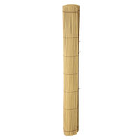 TIENIACA CLONA NA PLOT 300/100 cm  - prírodná farba, Basics, plast (300/100cm)