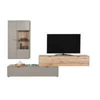 WOHNWAND  in Hellgrau, Wildeiche  293,5/205,5/45,2 cm  - Wildeiche/Hellgrau, Design, Glas/Holz (293,5/205,5/45,2cm) - Dieter Knoll
