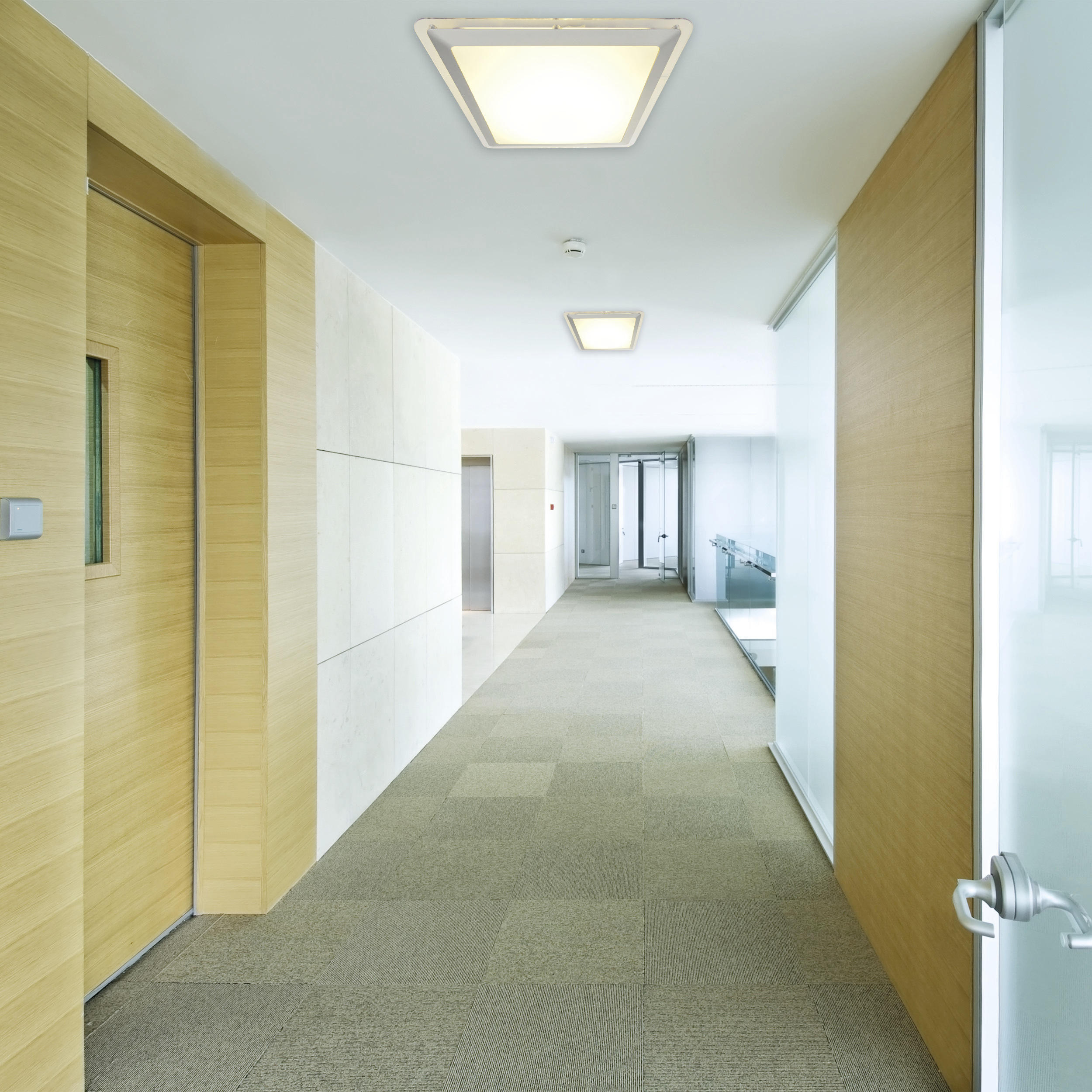 LED-DECKENLEUCHTE 33,5 cm  - Silberfarben, Basics, Kunststoff/Metall (33,5cm) - Näve