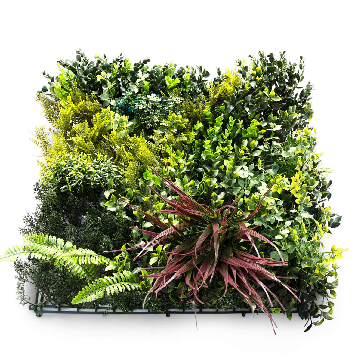 Wandverkleidung Pflanzenwand   - Trend (50/50cm) - Floordirekt