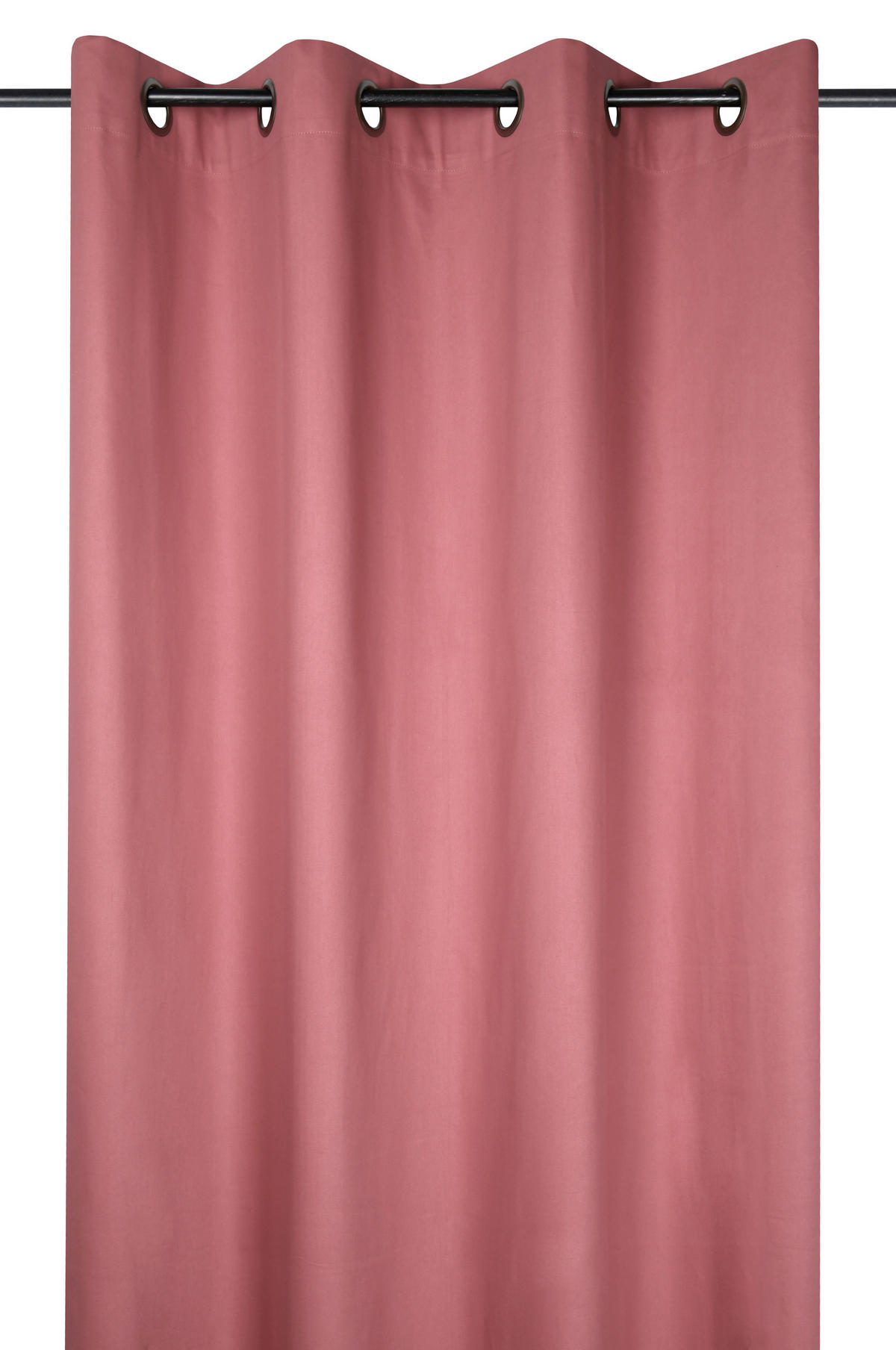 ZAVJESA S RINGOVIMA ružičasta 140/260 cm   - ružičasta, Basics, tekstil (140/260cm)