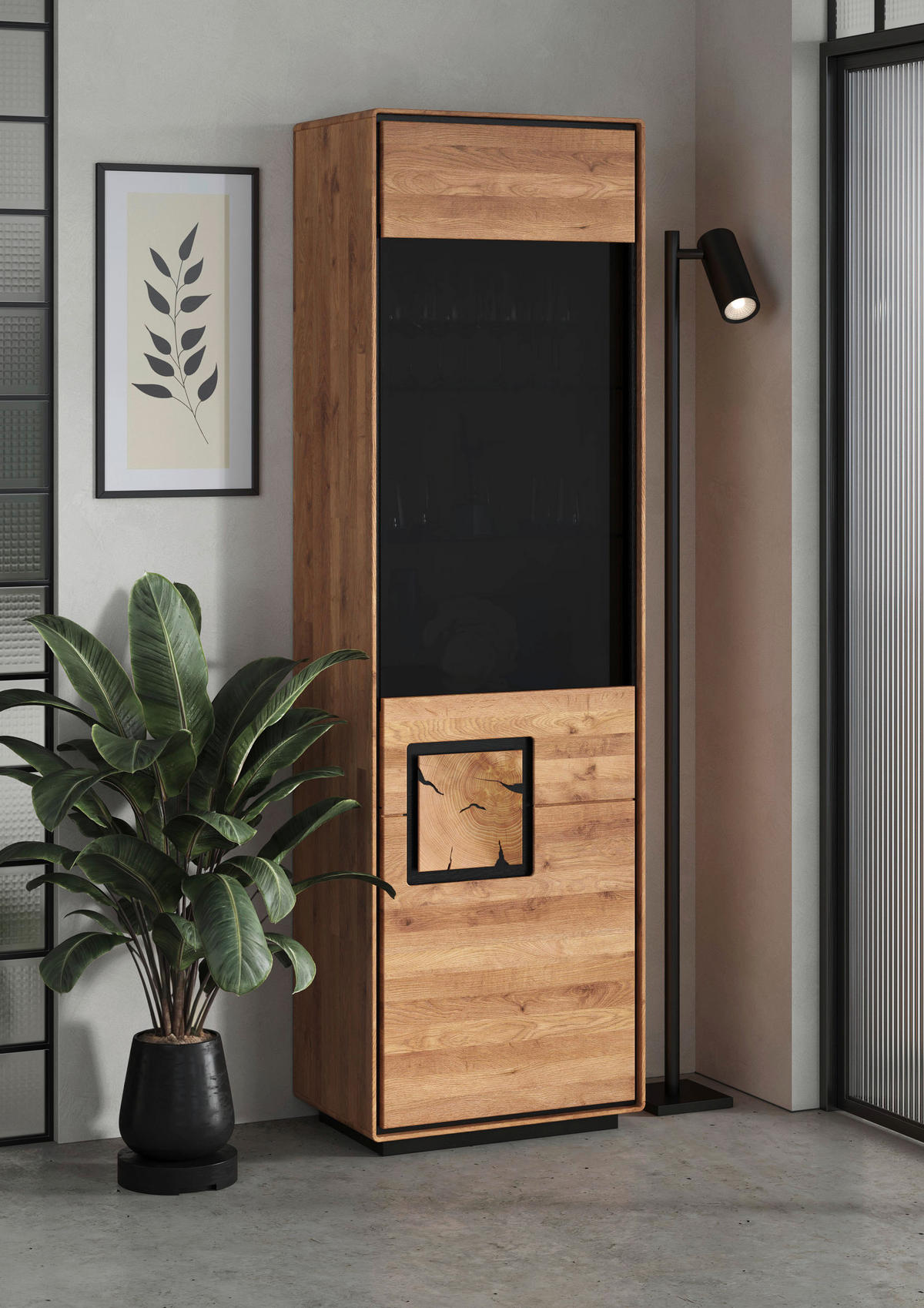 VITRINE  in massiv Wildeiche Schwarz, Wildeiche  - Wildeiche/Schwarz, Basics, Glas/Holz (60/203/40cm) - Livetastic