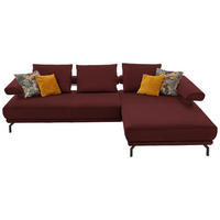 ECKSOFA in Echtleder Brombeere  305/224 cm  - Brombeere/Schwarz, Design, Leder/Metall (305/224cm) - Dieter Knoll