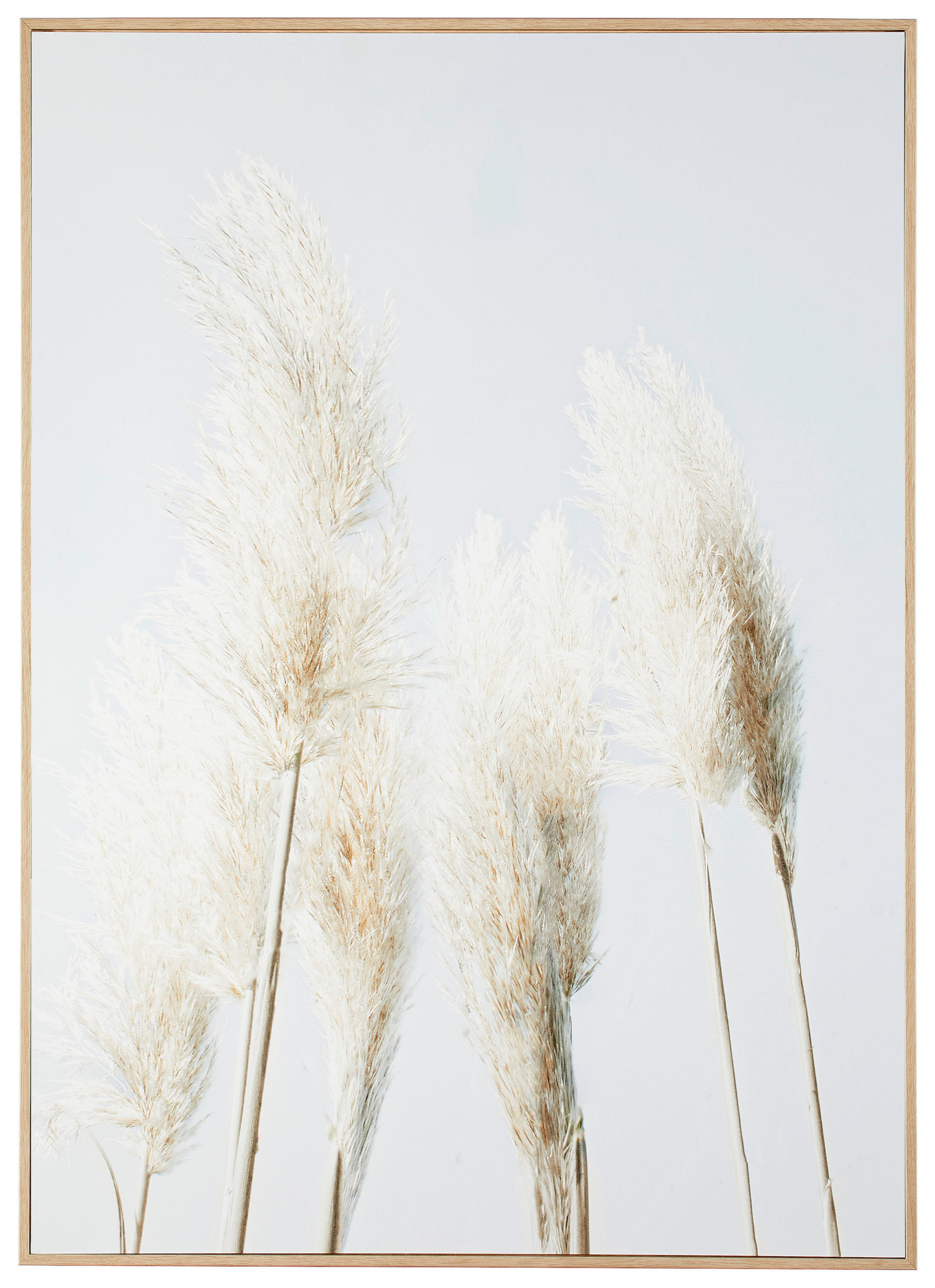 KUNSTDRUCK Landschaft & Natur  - Blau/Eichefarben, Natur, Papier/Holzwerkstoff (50/70cm) - Monee