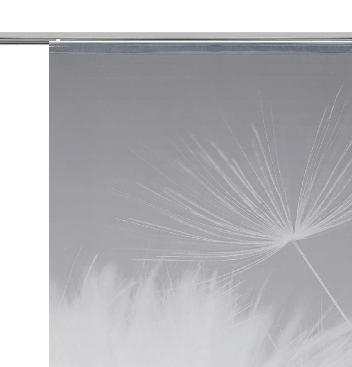 FLÄCHENVORHANG  3 Stück  halbtransparent  60/245 cm   - Anthrazit, Basics, Textil (60/245cm) - Novel