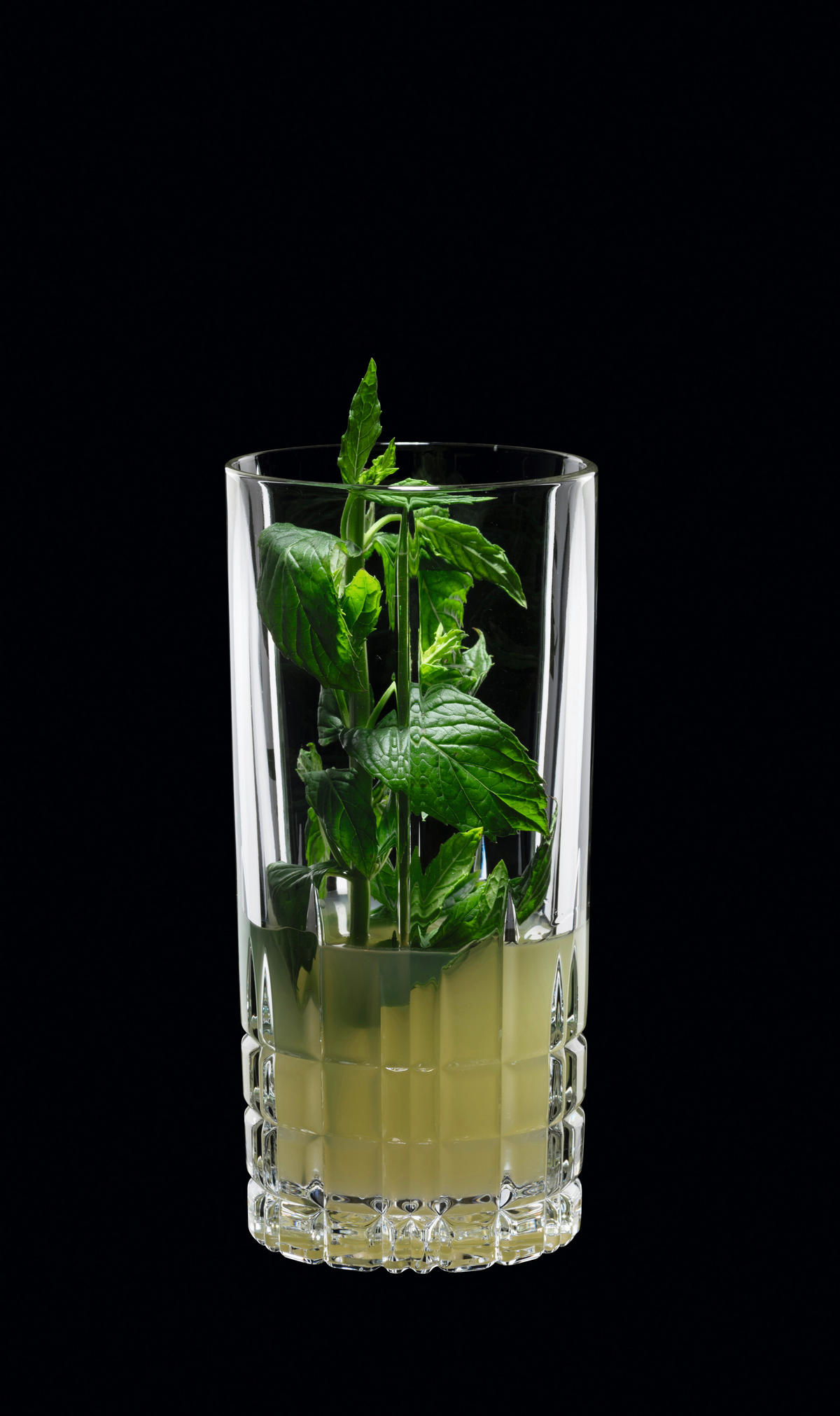 LONGDRINKGLAS Spiegelau 350 ml 3-teilig  - Klar, Basics, Glas (8,6/10,0/8,6cm) - Spiegelau