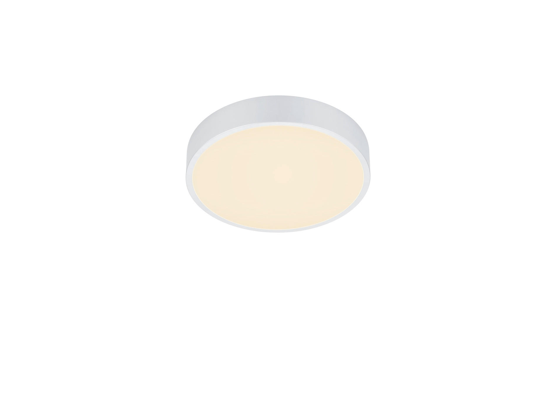 LED-DECKENLEUCHTE 31/6,5 cm   - Basics (31/6,5cm)
