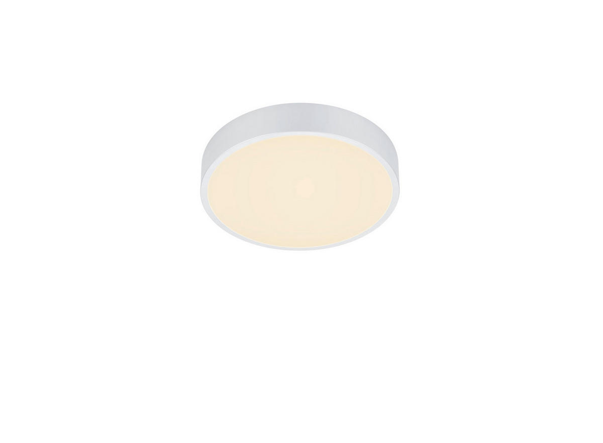 LED-DECKENLEUCHTE 31/6,5 cm   - Basics (31/6,5cm)