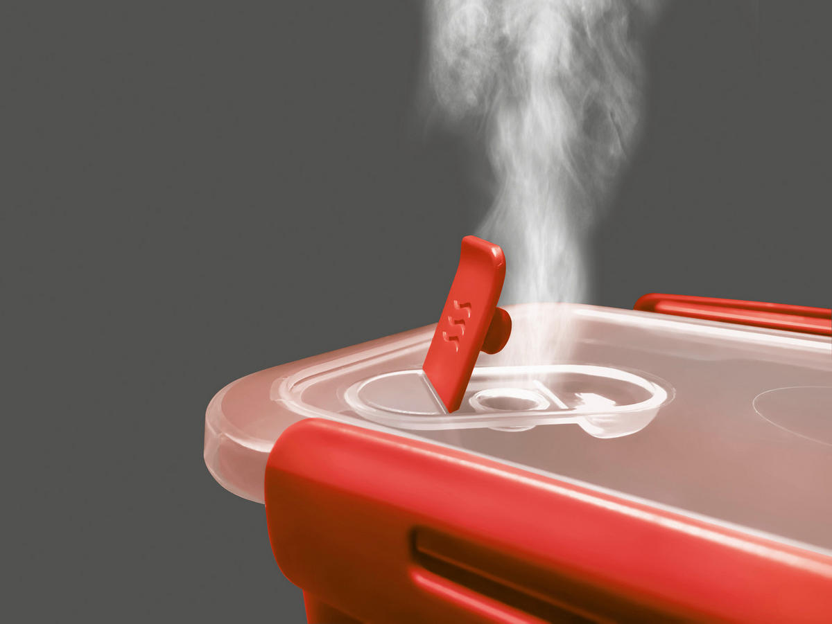 MIKROWELLENTELLER  - Rot, Basics, Kunststoff (19,5/6/19,5cm) - Rotho