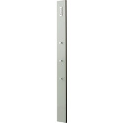 GARDEROBENPANEEL 15/170/3 cm - Weiß, Design, Glas/Holzwerkstoff (15/170/3cm) - Moderano