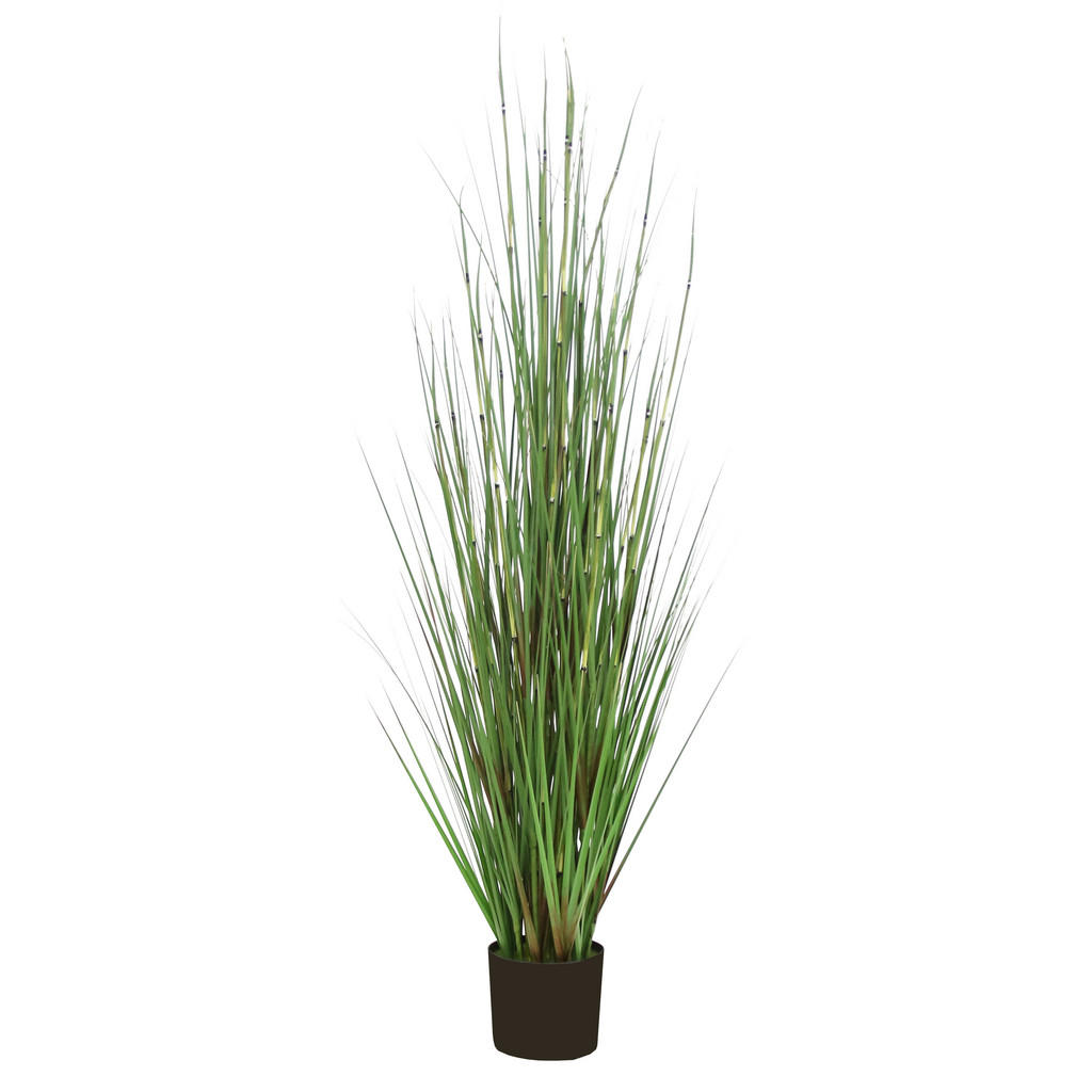 Ambia Home UMĚLÁ ROSTLINA 150 cm