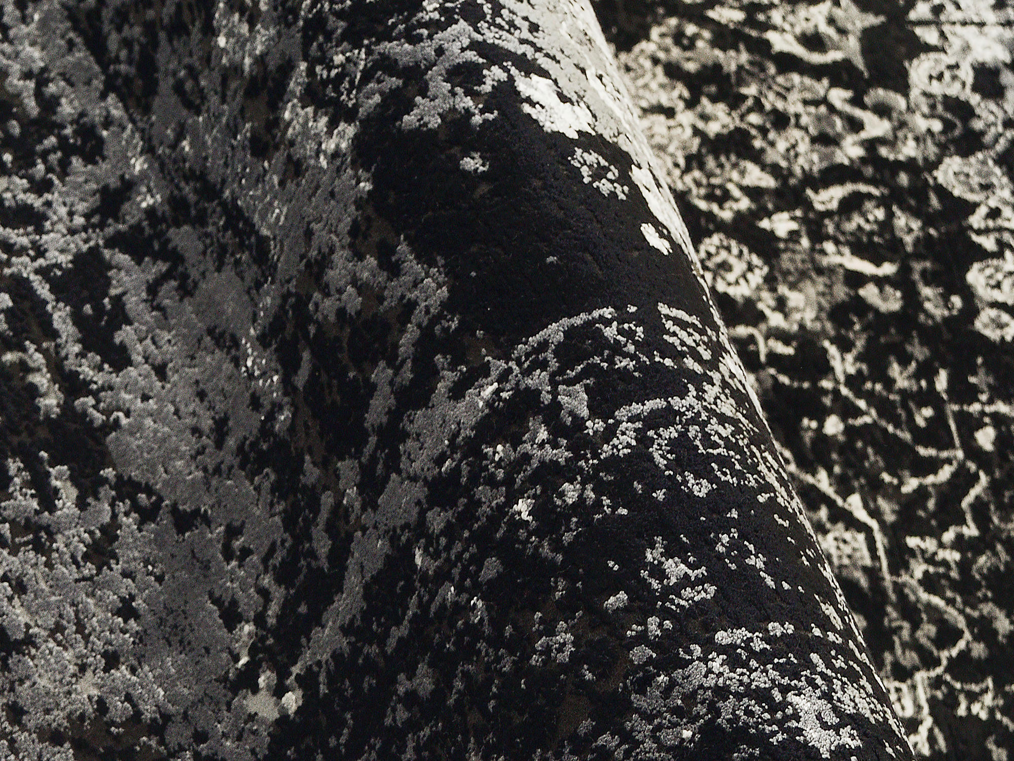 Thumbnail - Dieter Knoll Webteppich Calais, Grau, Schwarz, Textil, rund, in verschiedenen Größen erhältlich, Teppiche & Böden, Teppi...