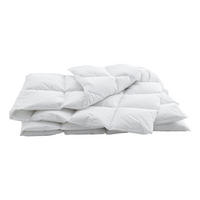 DAUNENDUVET 160/210 cm Swiss Dream  - Weiss, Basics, Textil (160/210cm) - Billerbeck