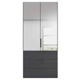 DREHTÜRENSCHRANK 101/223/61 cm,  in Graphitfarben, 2-türig  - Graphitfarben, Basics, Glas/Holzwerkstoff (101/223/61cm) - Novel