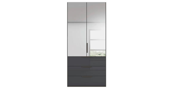 DREHTÜRENSCHRANK 101/223/61 cm,  in Graphitfarben, 2-türig  - Graphitfarben, Basics, Glas/Holzwerkstoff (101/223/61cm) - Novel