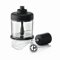 STABMIXER-SET Lineo 5-teilig  - Edelstahlfarben, Design, Metall (42cm) - WMF