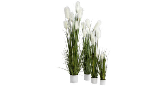 DEKOGRAS - Dunkelgrün, Basics, Kunststoff/Metall (180cm) - Ambia Home